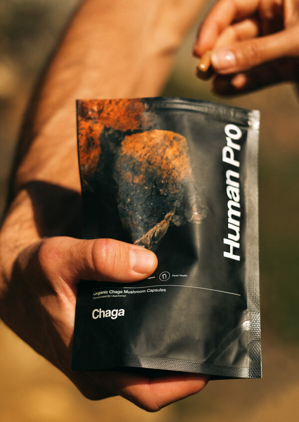 Chaga Extract