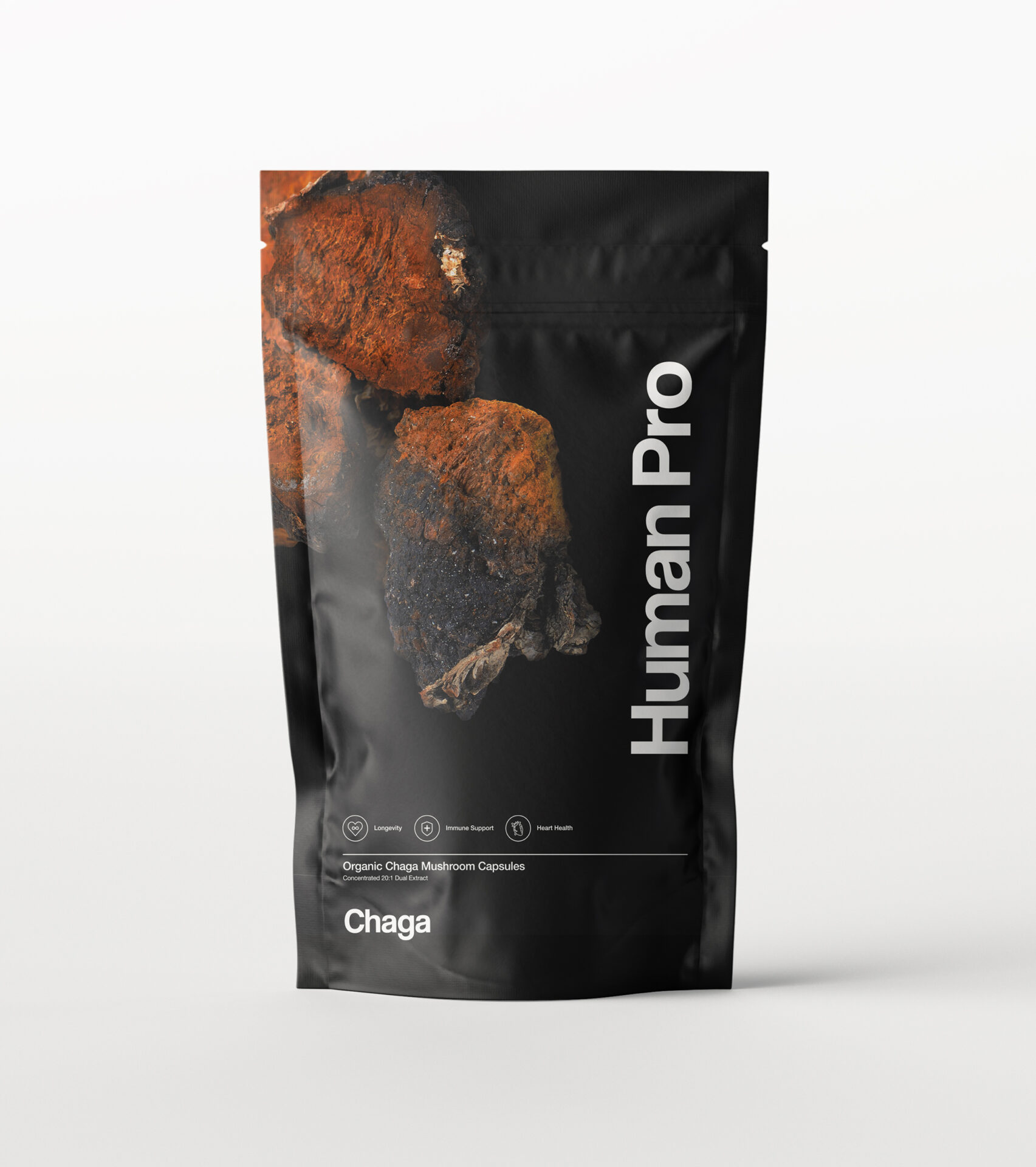 Chaga.