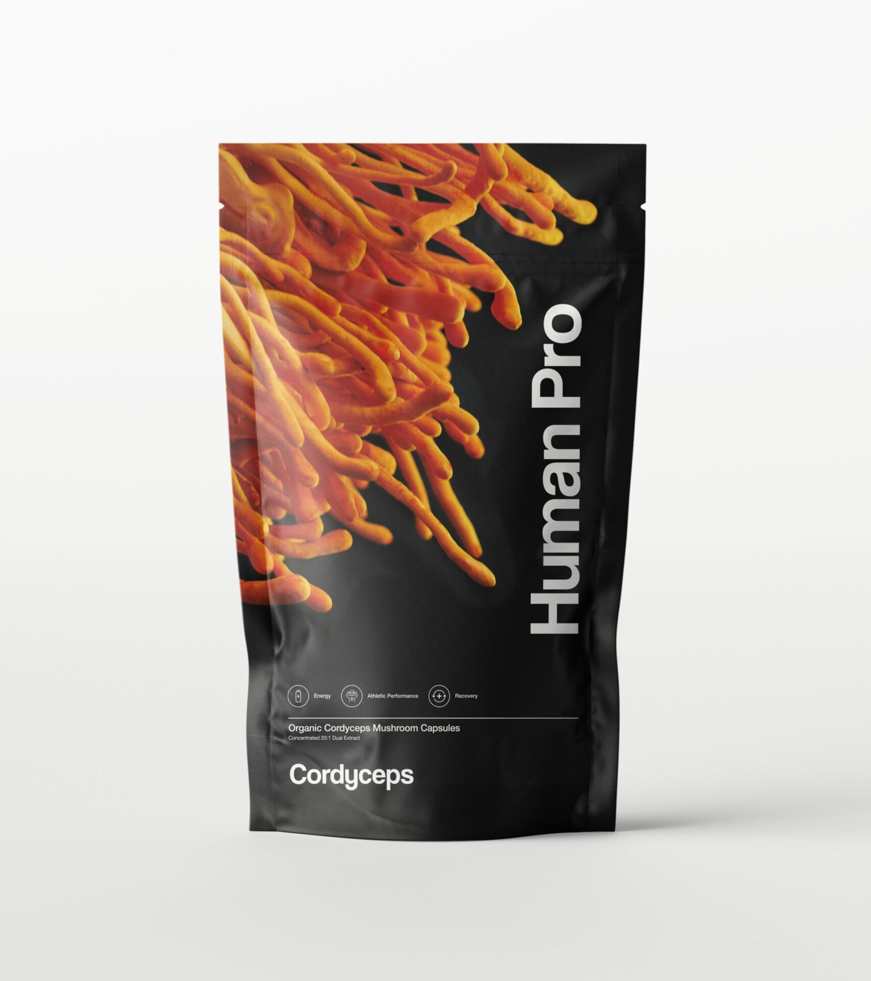 Cordyceps.