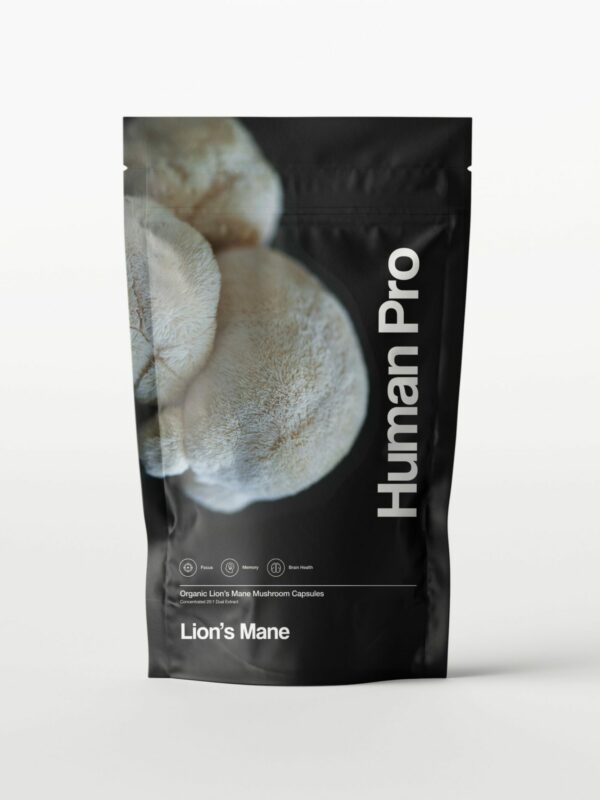 Human Pro Lion's Mane