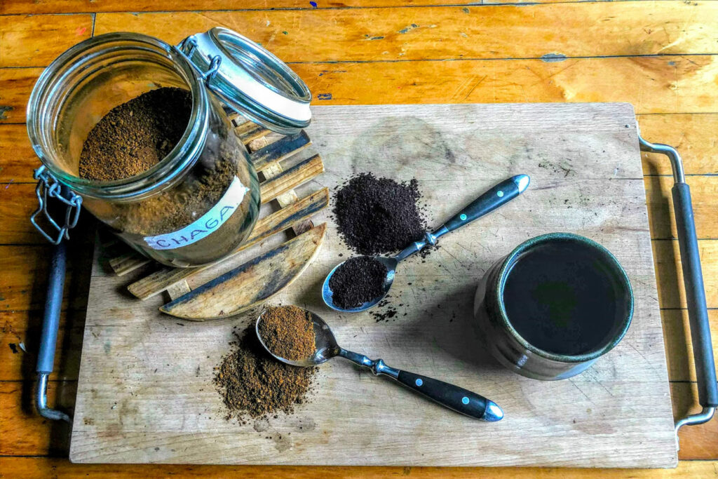Chaga